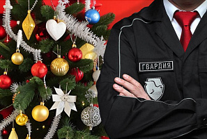 Новогоднее